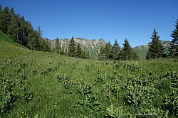 marbichler-spitze-kafell-019.jpg