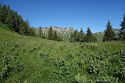 marbichler-spitze-kafell-019.jpg