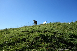 marbichler-spitze-kafell-022.jpg