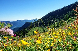 marbichler-spitze-kafell-025.jpg
