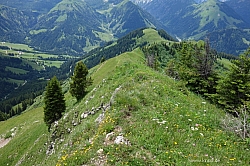 marbichler-spitze-kafell-061.jpg