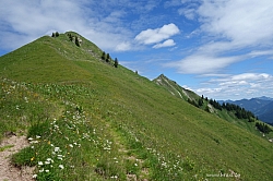 marbichler-spitze-kafell-062.jpg