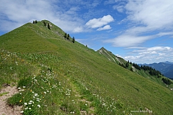 marbichler-spitze-kafell-062.jpg