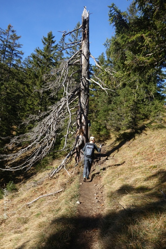 notkarspitze-018.jpg