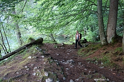 koenigsee-ostuferweg-011.jpg