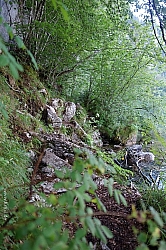 koenigsee-ostuferweg-018.jpg