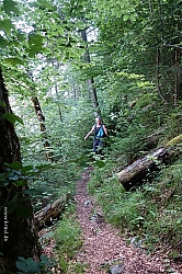 koenigsee-ostuferweg-021.jpg