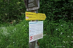 koenigsee-ostuferweg-032.jpg