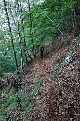 koenigsee-ostuferweg-036.jpg