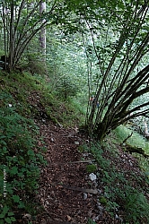 koenigsee-ostuferweg-046.jpg