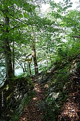 koenigsee-ostuferweg-049.jpg