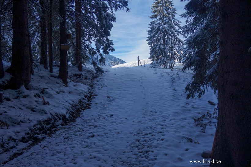 hennenkopf-probstwand-014.jpg