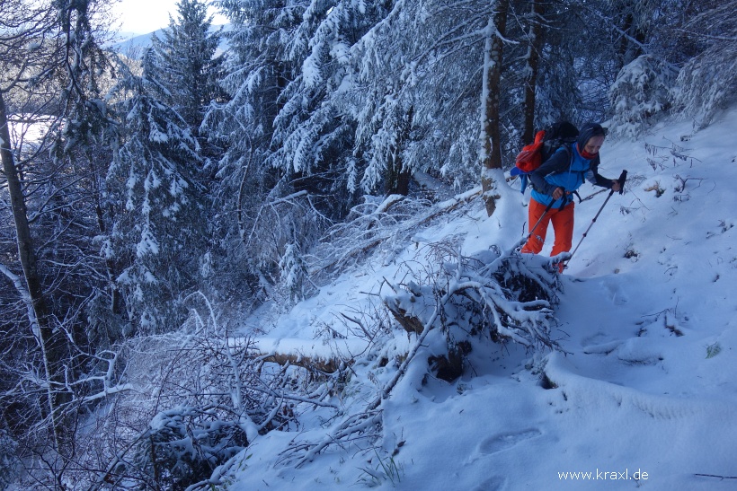 hennenkopf-probstwand-025.jpg