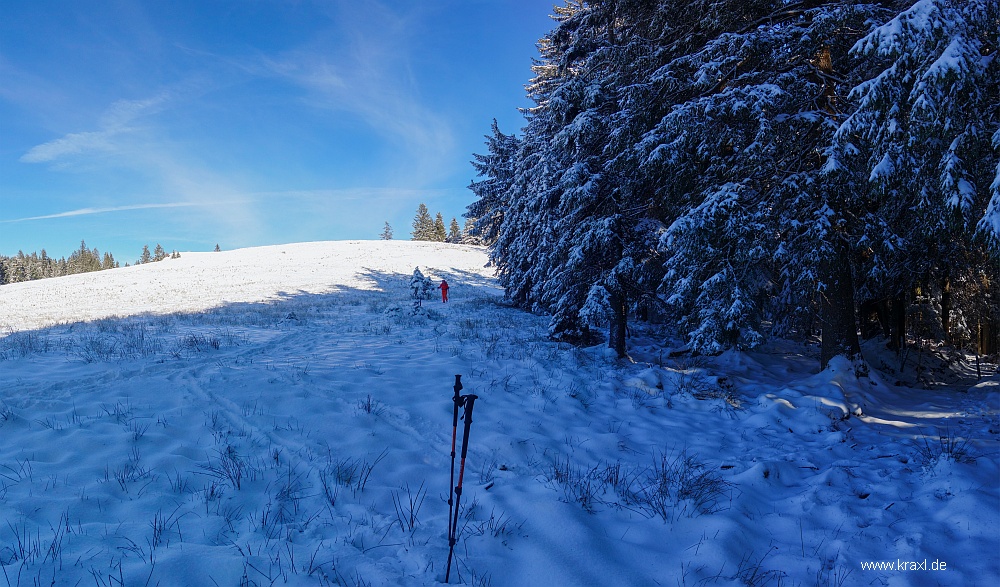 hennenkopf-probstwand-038.jpg