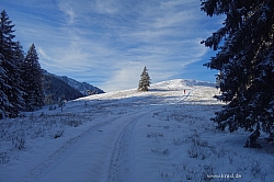 hennenkopf-probstwand-016.jpg