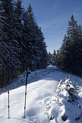 hennenkopf-probstwand-028.jpg