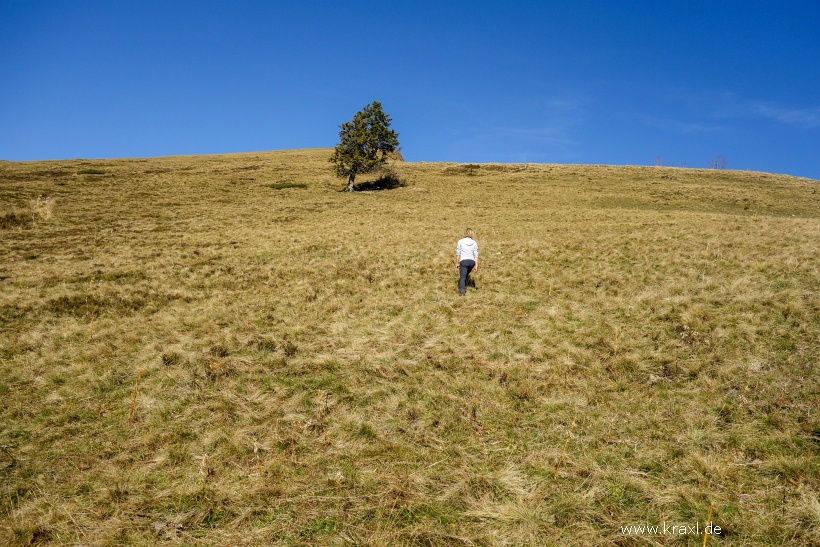 ross-buchstein-hochplatte-031.jpg