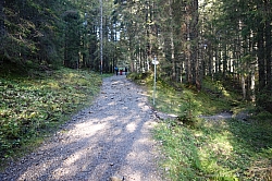 ross-buchstein-hochplatte-007.jpg