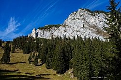 ross-buchstein-hochplatte-019.jpg