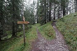 rotwandwiesen-009.jpg