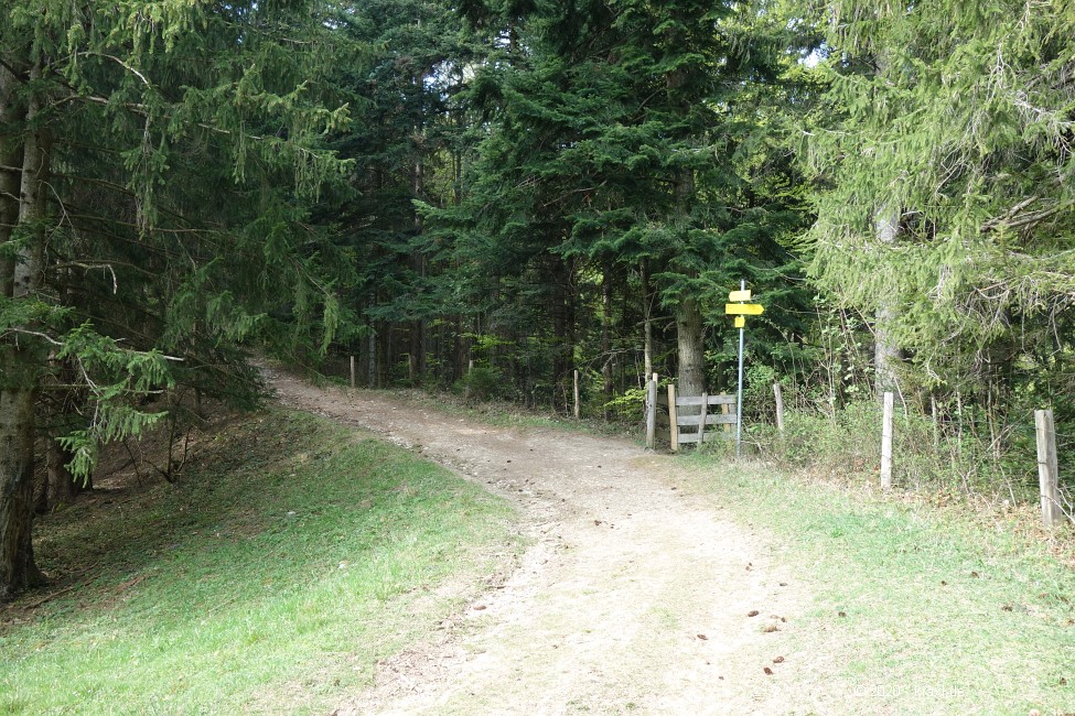 sulzberg-farrenpoint-15.jpg