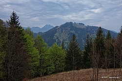 sulzberg-farrenpoint-11.jpg