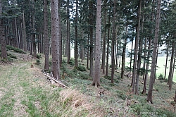 sulzberg-farrenpoint-13.jpg