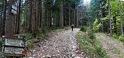 sulzberg-farrenpoint-17.jpg