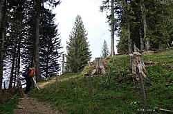 sulzberg-farrenpoint-20.jpg