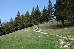 sulzberg-farrenpoint-23.jpg