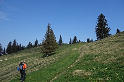 sulzberg-farrenpoint-26.jpg