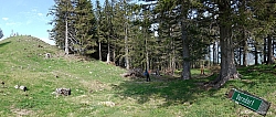 sulzberg-farrenpoint-31.jpg