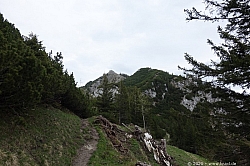 wildalpjoch-024.jpg