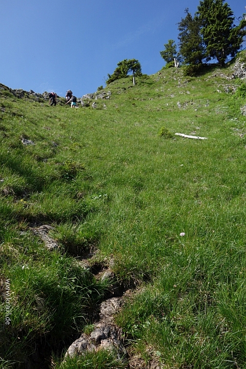 zellerhorn-034.jpg