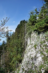 zellerhorn-025.jpg