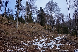 ameiskopf-reitberg-010.jpg