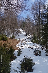 ameiskopf-reitberg-014.jpg