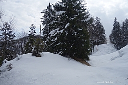 ameiskopf-reitberg-018.jpg