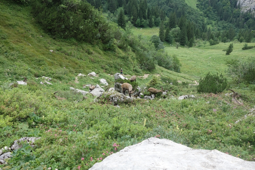 brauneck-benediktenwand-051.jpg