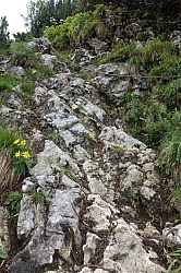 brauneck-benediktenwand-027.jpg