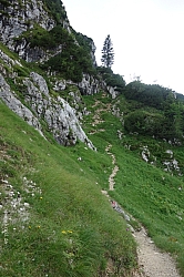 brauneck-benediktenwand-047.jpg