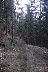 breitensteinfensterl-007.jpg