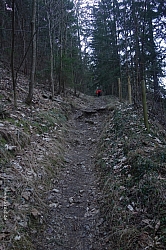 breitensteinfensterl-008.jpg