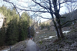 breitensteinfensterl-014.jpg