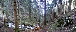 breitensteinfensterl-036.jpg