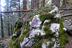 breitensteinfensterl-047.jpg