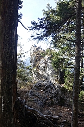 breitensteinfensterl-068.jpg