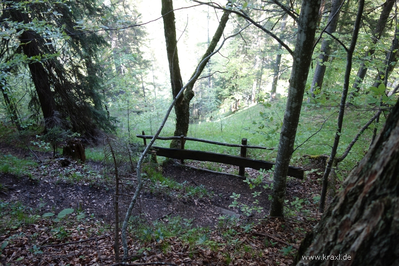 fellhorn-071.jpg