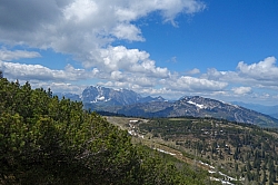 fellhorn-026.jpg