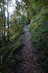 gaisberg-gaisbergjoch-10.jpg